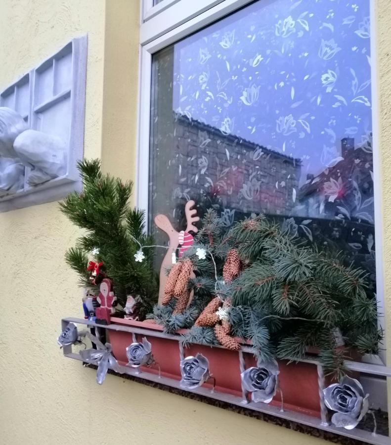 Usis_Ferienwohnung Im Harz Quedlinburg Exteriör bild