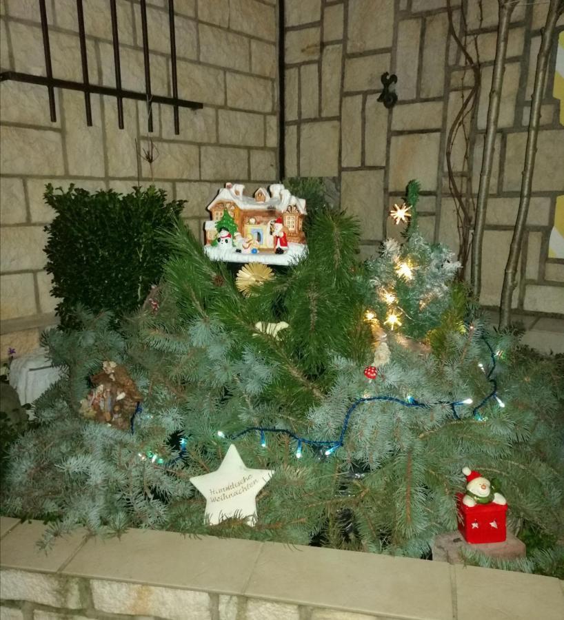 Usis_Ferienwohnung Im Harz Quedlinburg Exteriör bild