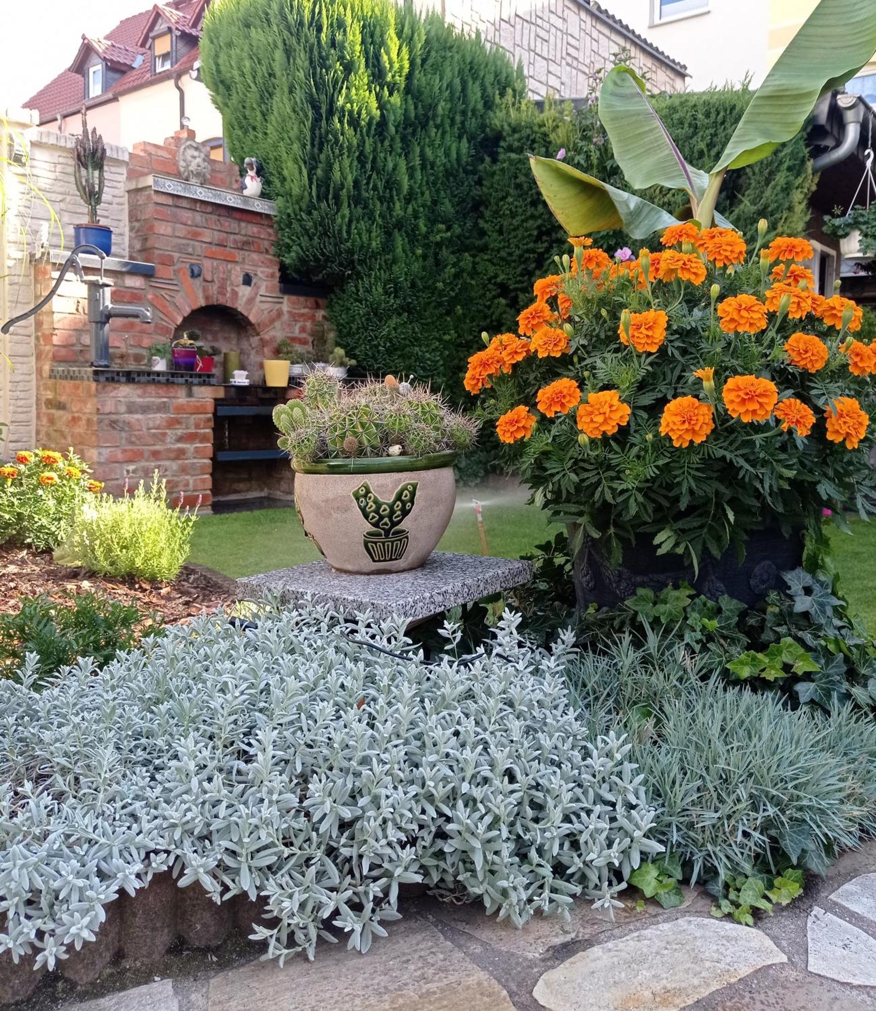 Usis_Ferienwohnung Im Harz Quedlinburg Exteriör bild